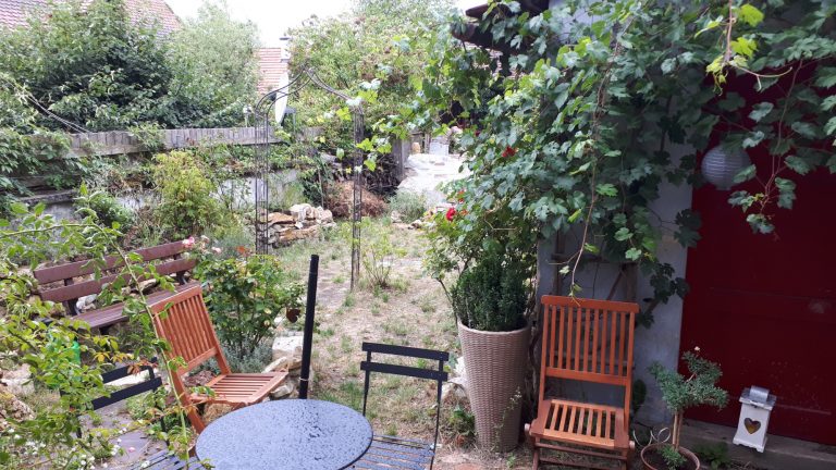 20190803 090805 768x432