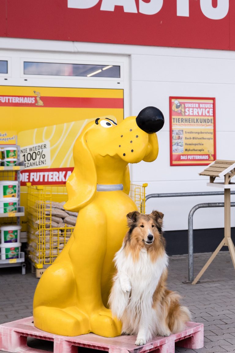 jennydassberger.com Futterhaus Burglengenfeld 10 von 26 768x1151