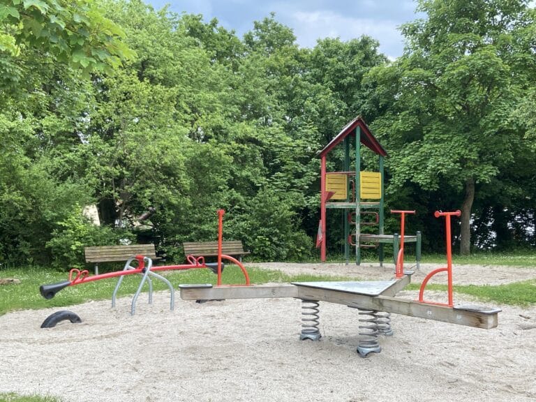 Richard Wagner 768x576