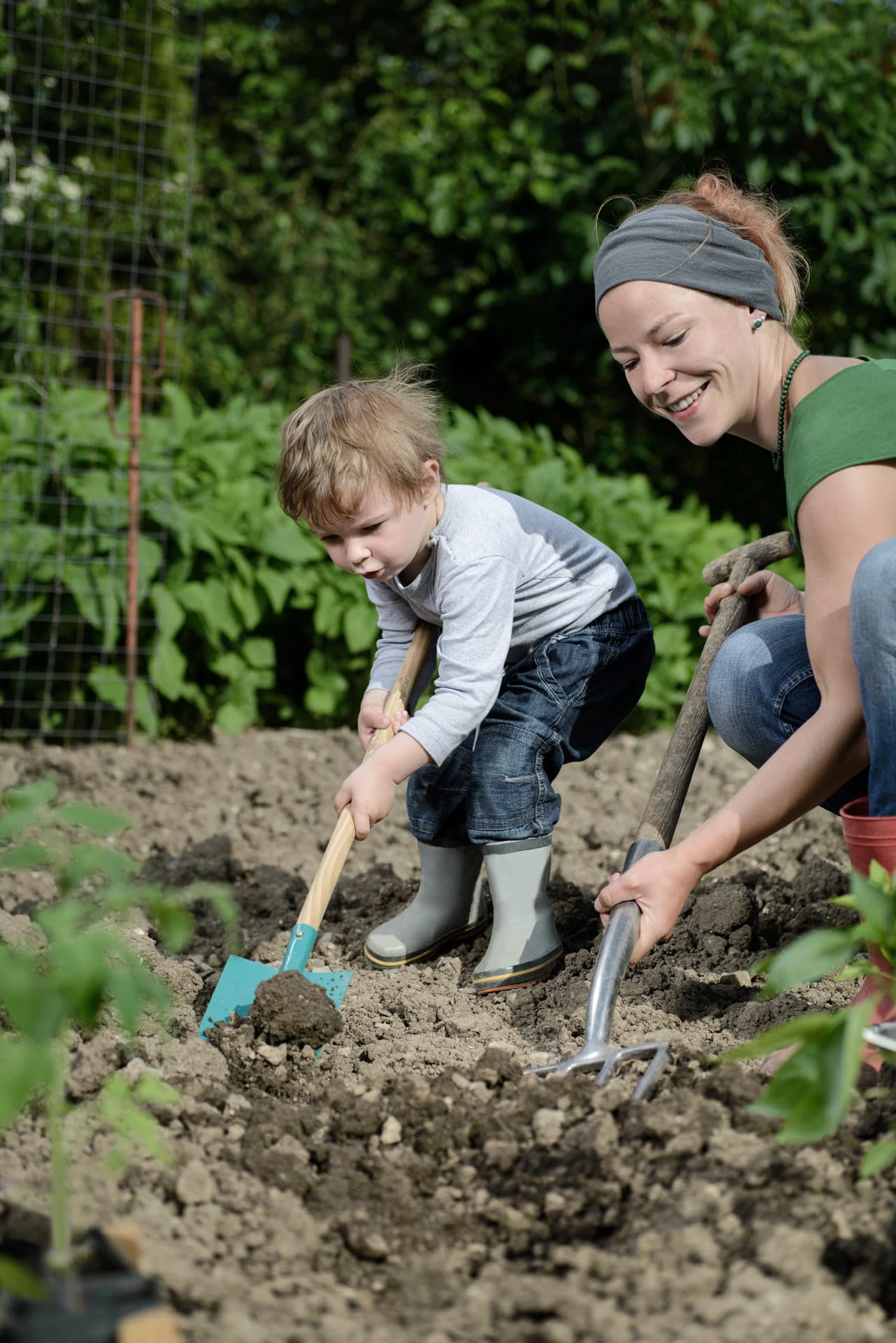 Gartensaison die richtige Erde Tomatenerde