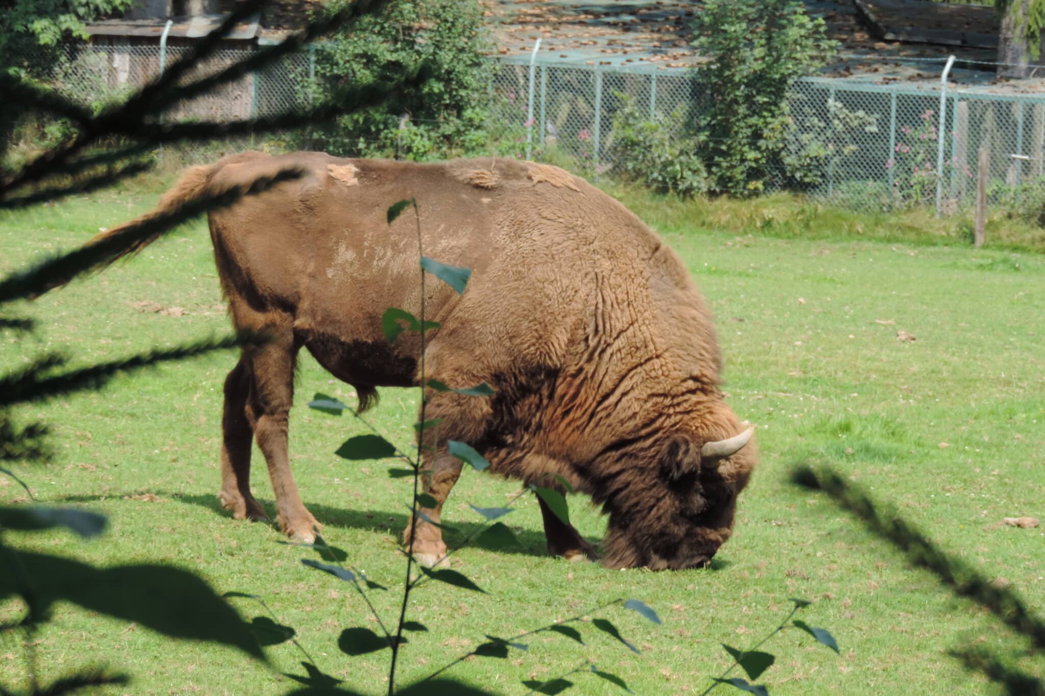 Ferienprogramm Teublitz Burglengenfeld Ferienaktion Tierpark Zukunftsmuseum Kreisjugendamt