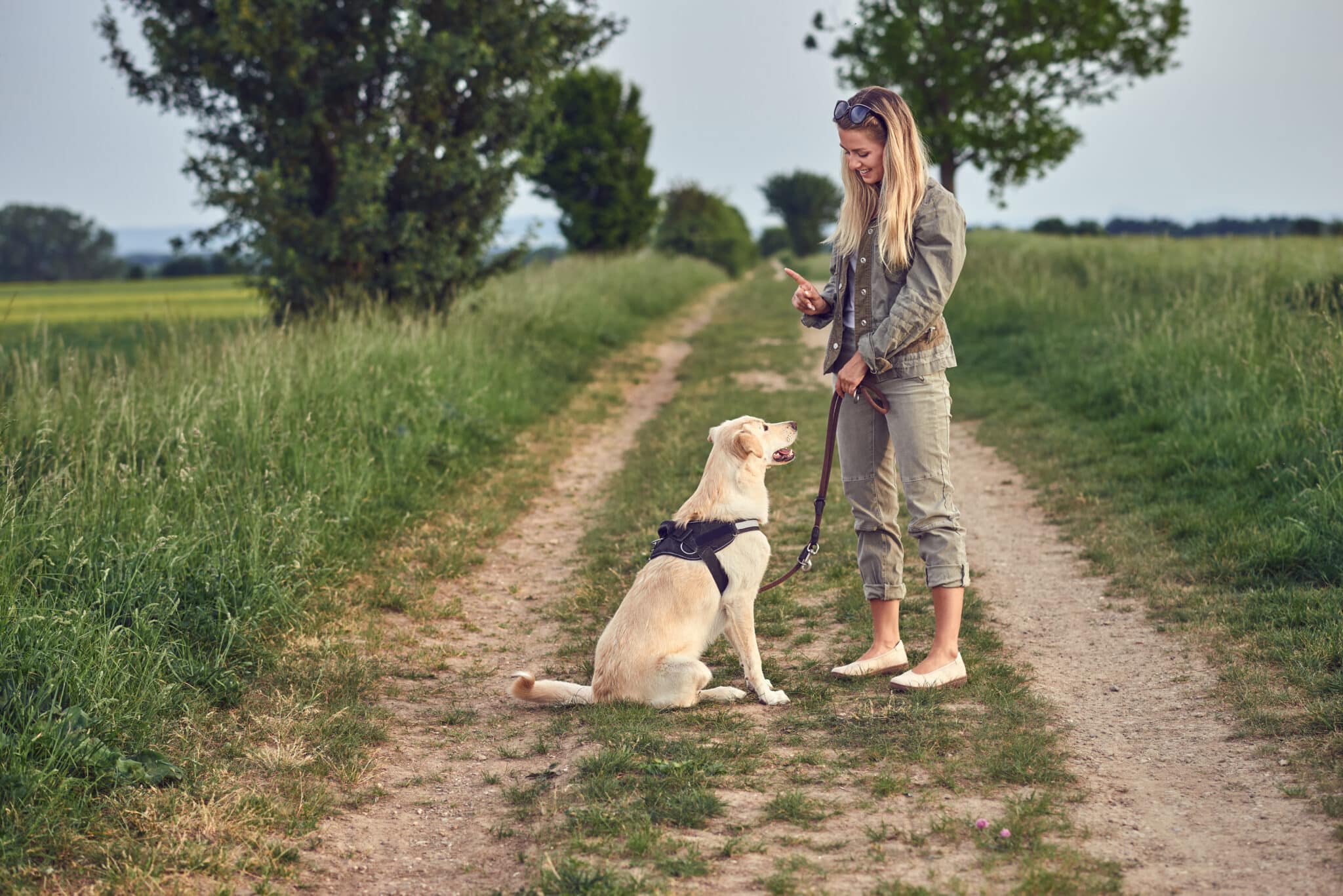 Hund Gassi gehen spazieren natur welpe