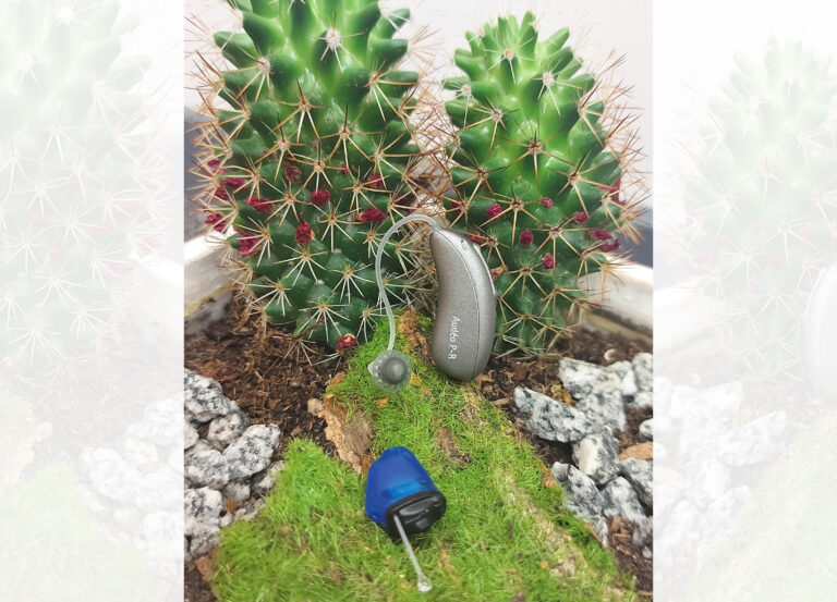 20220819 152227 bearbeitet 768x553